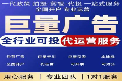 网络推广秘籍：竞价排名成功案例集锦